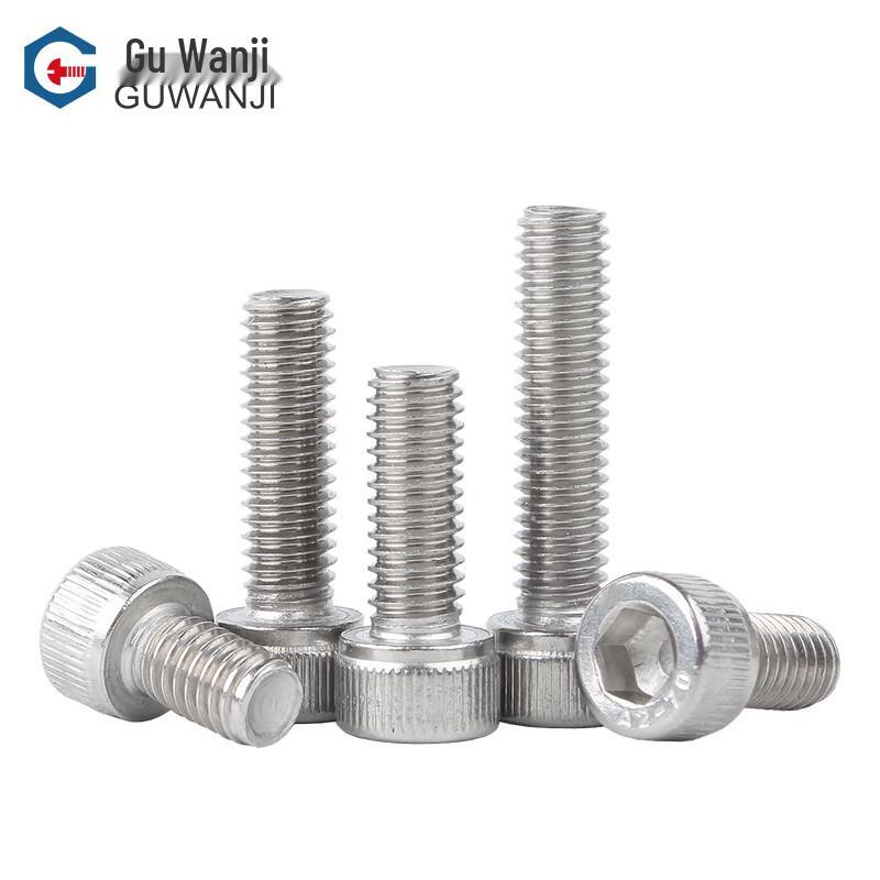 Guwanji 304 Stainless Steel Hex Socket Cap Screws