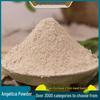 Angelica Powder - Fine, Agricultural Grade, Available in Various Specifications, Large Quantities