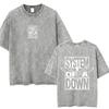 T-shirt Vintage Lavé System Of A Down Homme Rétro Rock Metal T-shirts Oversize Homme Décontracté Coton Haute Qualité
