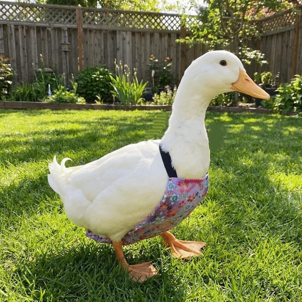 Breathable Duck Diapers Reusable Goose Diaper Physiological Pants Flight Suits Pet Chicken