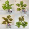 Artificial Green Plant Home Decor With Soft Silicone Leaves For Wedding And Photography Props