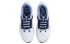 Nike Pegasus 40 Unc DZ5968-100