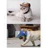 Dog Hat Dog Sun Hat Dog Baseball Cap with Ear Holes Adjustable Chin Strap Buckle
