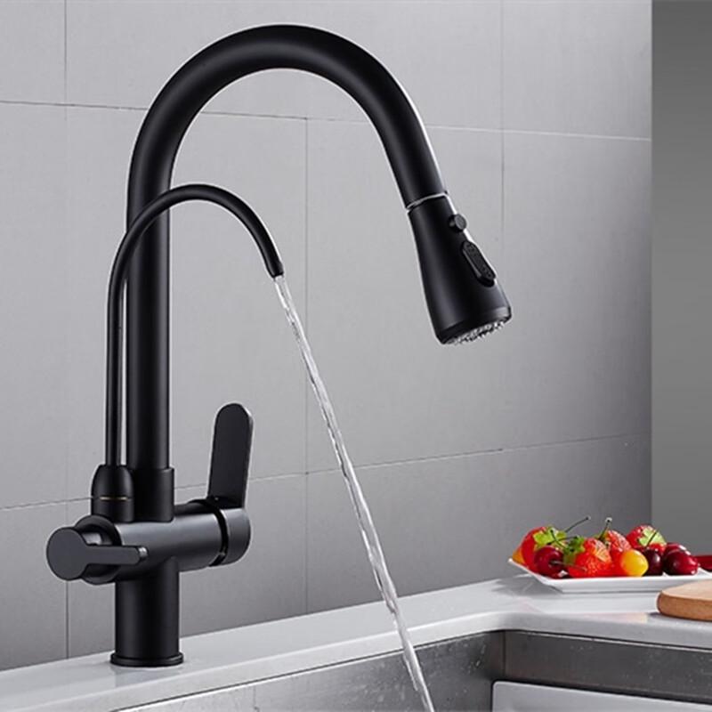 TLXT Black Brass 3-in-1 Kitchen Pull-Out Faucet