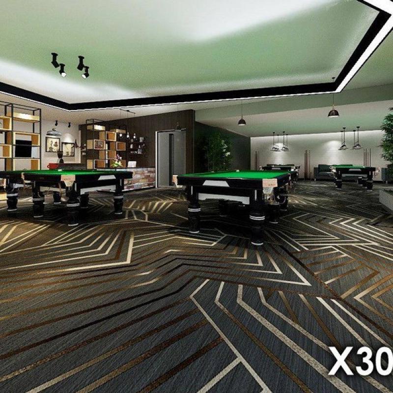Luxury Printed Carpet for Hotel Billiard, Game, and Recreation Rooms – Wall-to-Wall Hallway and Private Room Flooring