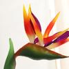 1PC Artificial Strelitzia Fake Flower Bird of Paradise 80cm Simulation Plant for Floral Arrangement Art Holiday Home Party Decor