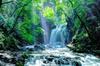 Photomural Waterfall In The Forest Non-Woven 460x300