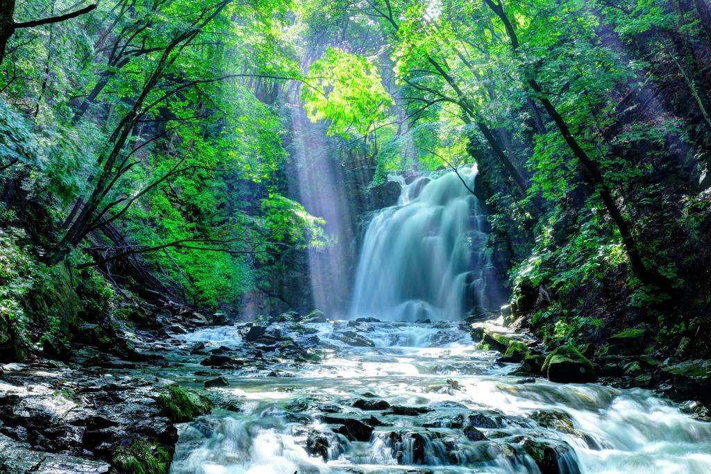 Photomural Waterfall In The Forest Non-Woven 460x300