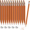 60 PCS Lightblue Colored Pencils, Pre-sharpened Professional Wooden Art Pencils Set for Artists Painting | Premium Drawing Sketching Supplies