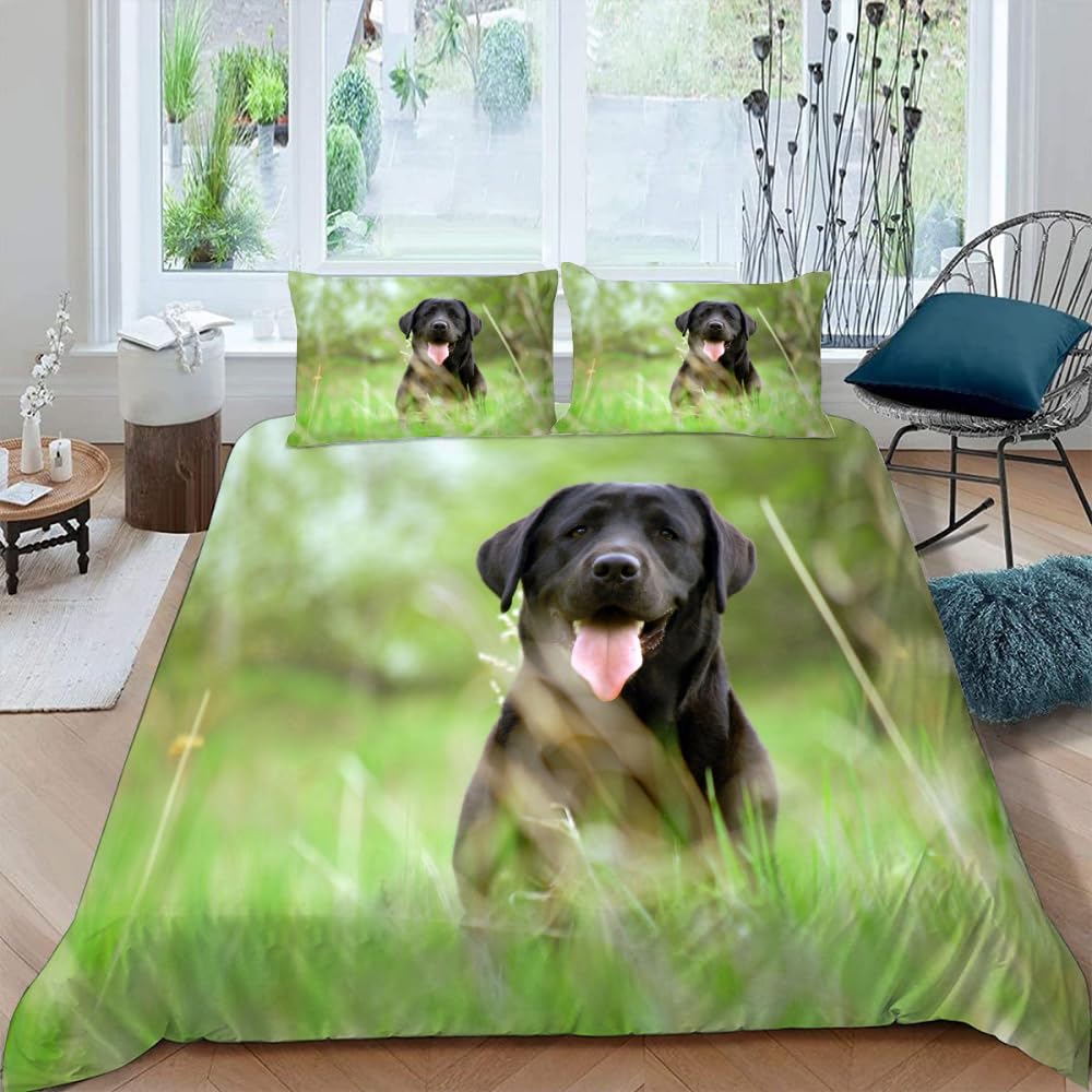 

Dog and Grass Duvet Covers Queen King Lightweight Quilt Cover with 2 Pillowcases Dog Running on The Grass Bedding Sets No Quilt (135x200cm)