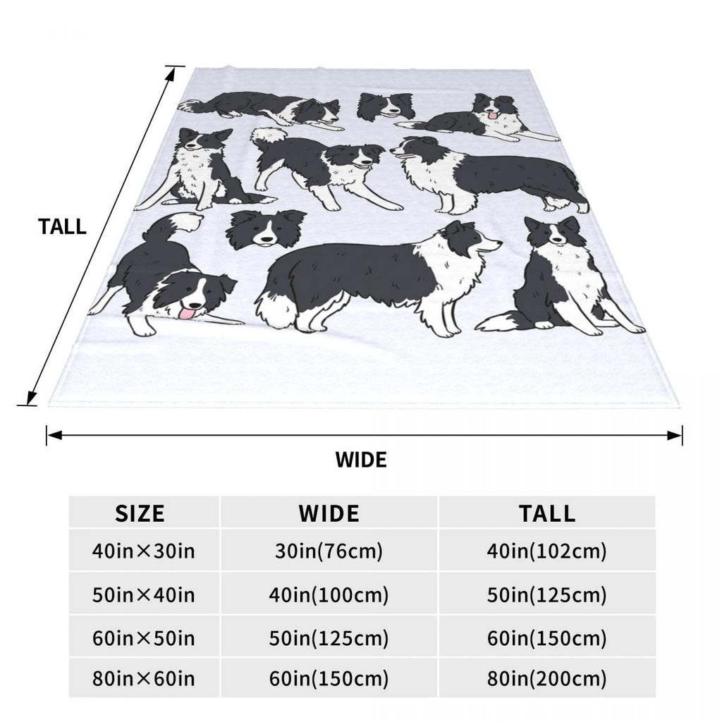 Border Collie Dog Cute Pattern Blanket Soft Warm Flannel Throw Blanket Cover for Bed Living Room Picnic Travel Home Couch