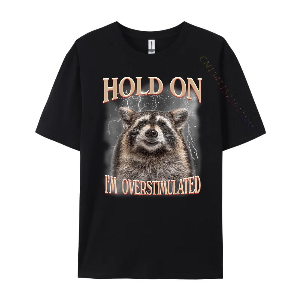 Hold On Im Overstimulated Raccoon Funny Men Women Streetwear Men Fall T Shirts For Men