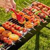 ZISIZ Portable Folding Smokeless BBQ Grill