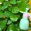 Garden Pressure Sprayer Watering Can
