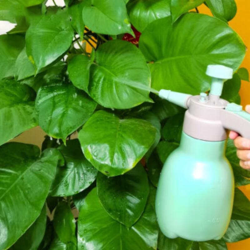 Garden Pressure Sprayer Watering Can