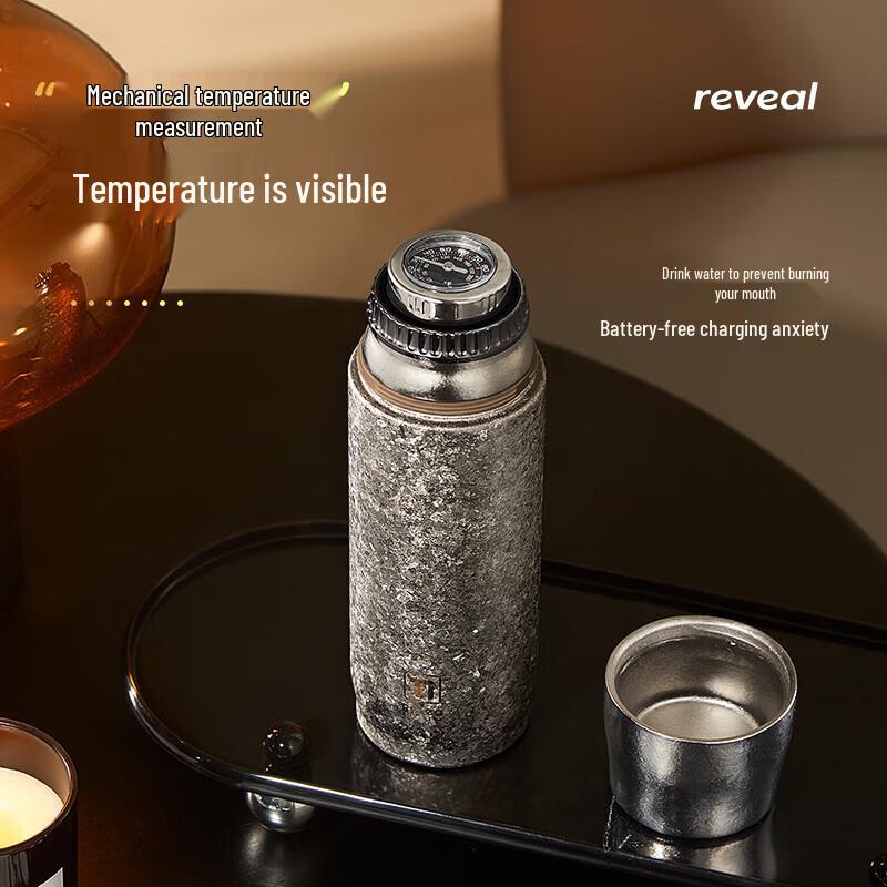 RELEA Titanium Smart Thermal Tea Infuser Mug
