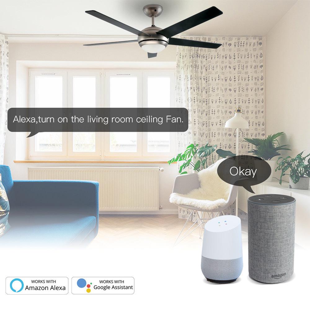 US Graffiti WiFi Touch Fan Light Switch with Timer & Voice Control