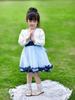 2026 Lente/Herfst Meisjes Lange Mouwen Mesh Rok Prinses Tweedelig Set