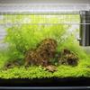 Aquarium Screen Net Clear Mesh Netting
