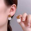 Korean Dongdaemun Autumn/Winter Geometric Brown Khaki Earrings Studs