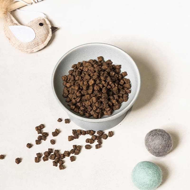 [Animale domestico] Izkan Cat Performance Gattino 600G