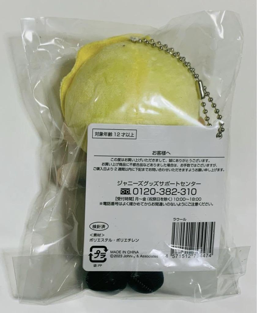 Snow Man Raul Snow Chill Hanging Series i DO ME 1st DOME tour 2023 Plush Toy (Plushie ver.)