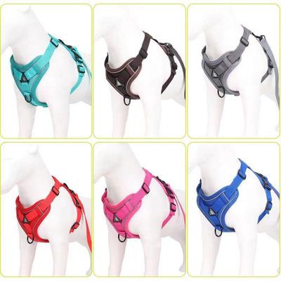 Hundeleine Westentyp Katze Hund Universal Reflektierende Hunde-Spazierleine Katzenleine Ausbruchsicher Haustier-Brustgeschirr