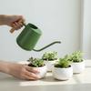 Long Lasting Ergonomic Stainless Steel Watering Tool Equipped with Ergonomic Wood Handle Ensuring Easy Controlled Pouring