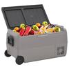 VidaXL Cooler with Wheel and Adapter Black and Grey 50 L PP and PE, Electric Cooler, Compressor Refrigerator, 3154639