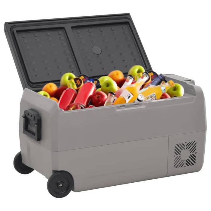 VidaXL Cooler with Wheel and Adapter Black and Grey 50 L PP and PE, Electric Cooler, Compressor Refrigerator, 3154639
