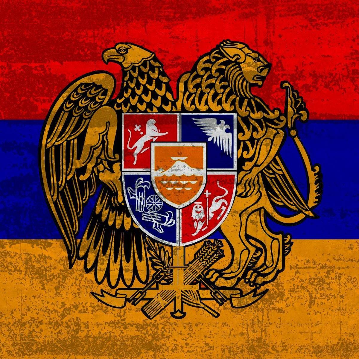 Футболка Армения ММА кикбоксинг UFC муай тай с национальным флагом страны — фото 5