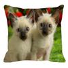 Thailand Cat Theme Pattern Double-Sided Printed Pillow Cover Short Plush Suitable Living Rooms Bedrooms Sofa Throw Cushion Cover