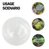 1pcs 8/10/12cm Micro Landscape Glass Vase Succulent Plant Terrarium Container Flower Pots Creativity Dew Collection Glass Vase