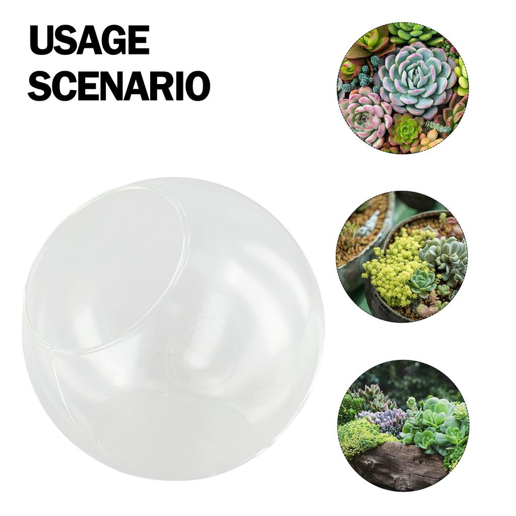 1pcs 8/10/12cm Micro Landscape Glass Vase Succulent Plant Terrarium Container Flower Pots Creativity Dew Collection Glass Vase