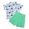 Kids Dinosaur Shirt Set Summer Boys Casual Short-sleeved Shorts Solid Color Set