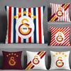 GgalatasarayS Brand Pillow Case Pillowcase Doublesided Printed Sofa Cushion Bedroom Headboard Pillow