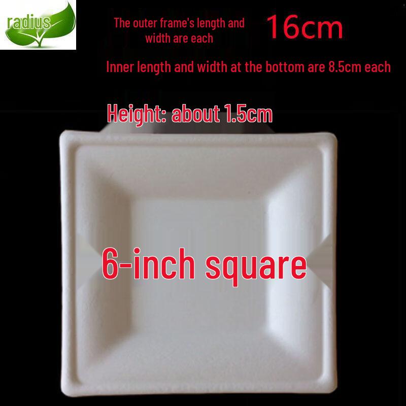 Disposable Rectangular Paper Plates