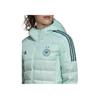 Adidas Performance Logo Fashion Versatile Hooded Duck Down Jacket Women Jackets Transparent-Mint Mystic-Green GK8642