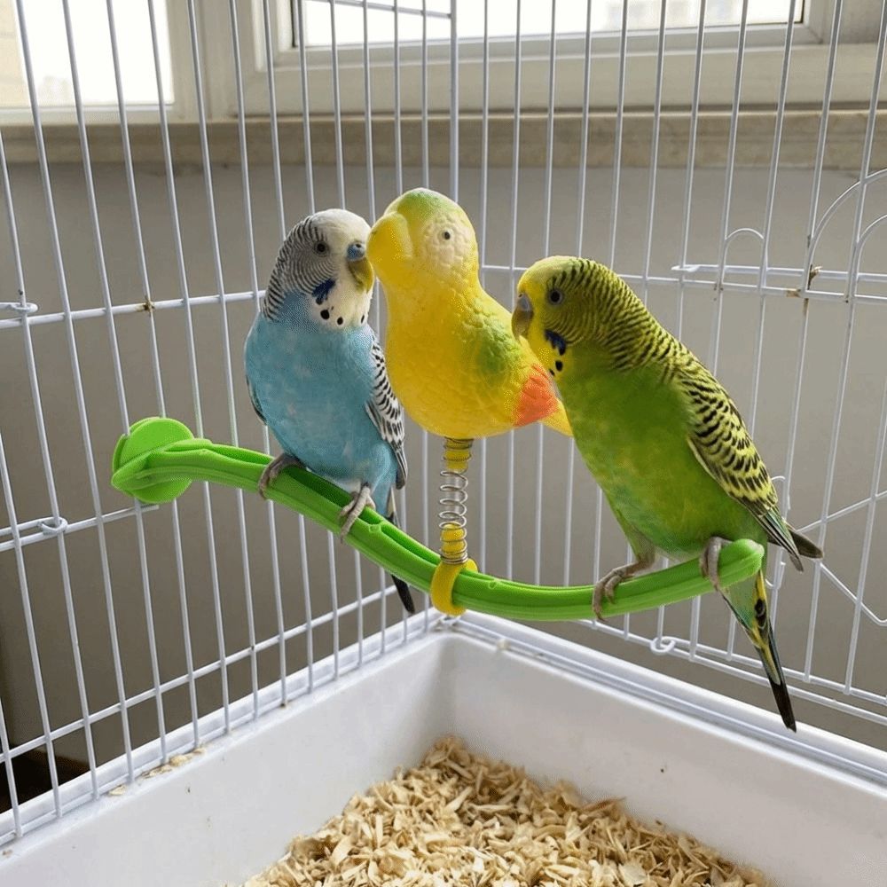 Plastic Swing Perch Toy Spring Wobble Bird Chewing Stand Parrot Play Rack  for Bird Cage Aviary