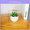 Fake Succulent Plant Pot With Pvc Material For Home Decor And Office Indoor Display
