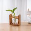Wood & Glass Hydroponic Bottle - Simple Modern Home Decor
