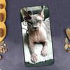 Sphynx Sphinx Cat Phone Case For Oppo A94 A74 A54 A15 A18 A38 A58 A78 A98 A40 A60 A80 A16 A76 A96 A57S A17 A77