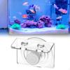 Vissen en zeedieren – Aquarium decoratie