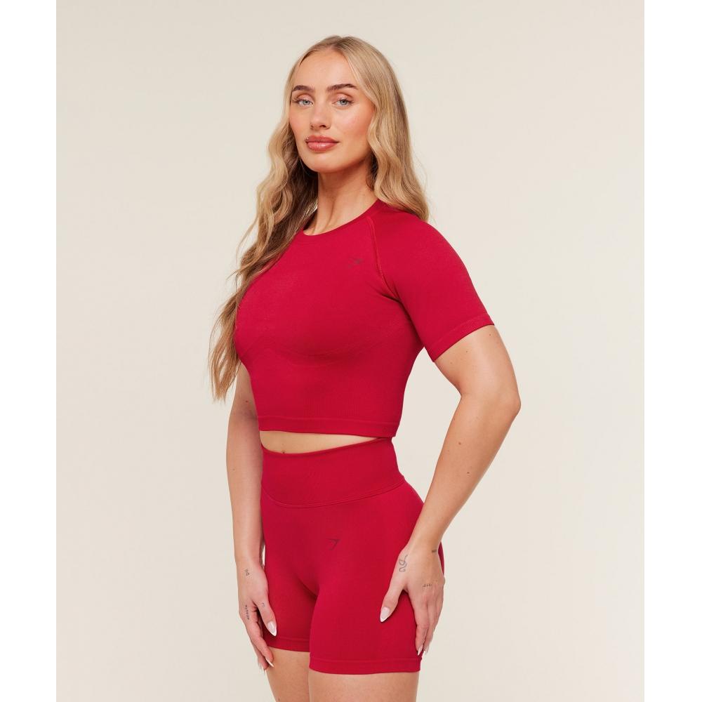 Gymshark Lift Seamless Short Sleeve Top Carmine Red B6b4q Rbqw