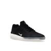 Nike Zoom Nyjah 3 SB Black White Unisex Sneakers Summit-White DJ6130-002