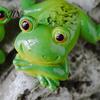 Playful Garden Figurine Micro Landscape Ornament, Frog Design Resin Figurine, Hand Painted Waterproof Miniature Scene Decoration Decor for Succulent