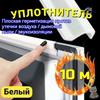 Window & Door Sealant