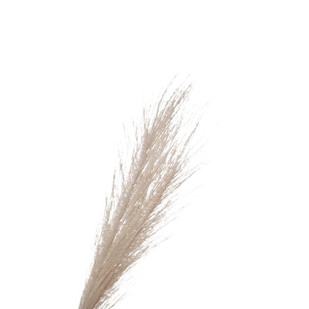 Home Decoration Wedding Decor Bedroom Fake Flowers Pampas Grass Artificial Flower Artificial Reed