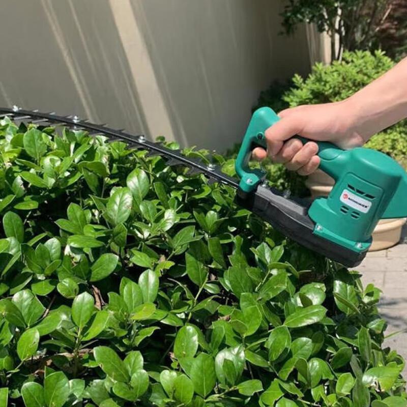 Qinyan Electric Portable Hedge Trimmer & Pruner CN Plug (adapter Included)