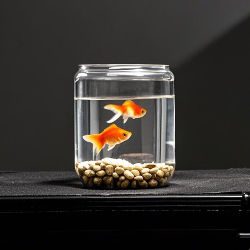 Umweltfreundliches Betta-Fischaquarium: Dekoratives Stapelbecken für Wohnzimmer oder Büro - Geeignet für Goldfische